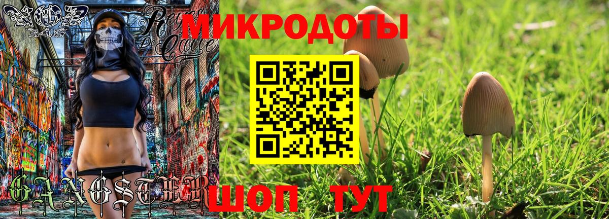 Псилоцибиновые грибы Psilocybe  Вход с VPN  Родники  Псилоцибиновые грибы GOLDEN TEACHER 
